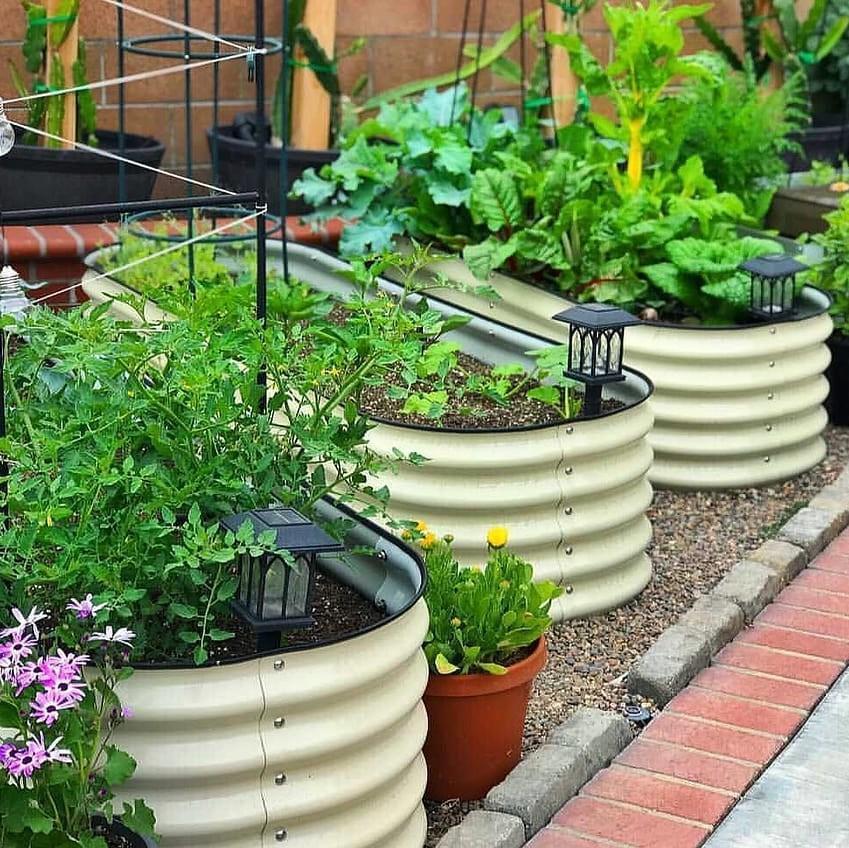 Building a Butterfly Habitat: Shelter, Water and the Full Lifecycle