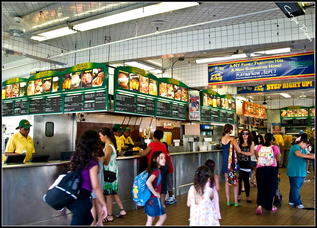 Can a Dog Go Vegetarian? An Honest Look From a Veggie Owner