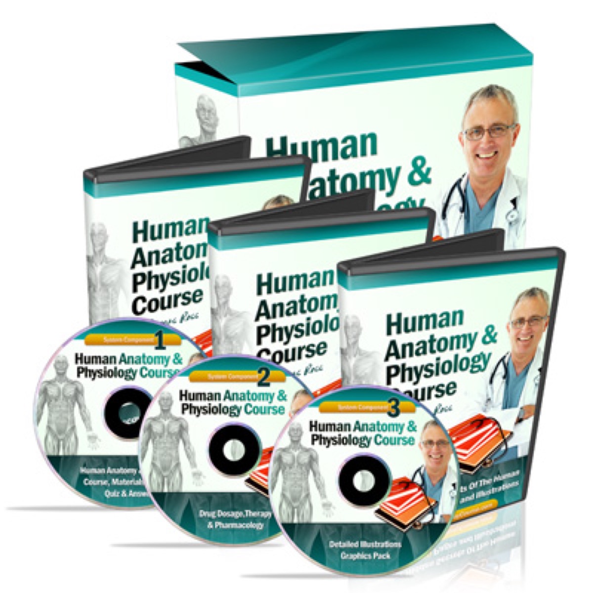 UPDATED - Human Anatomy & Physiology Course