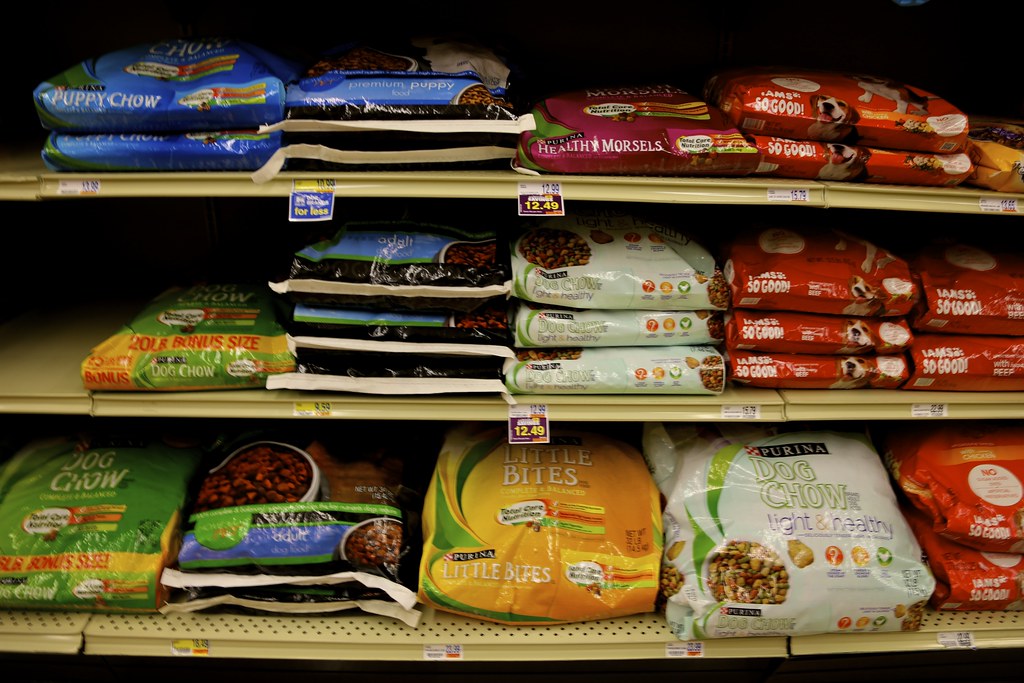 Dry vs. Canned Dog Food: Which Is Better for Your Dog?
