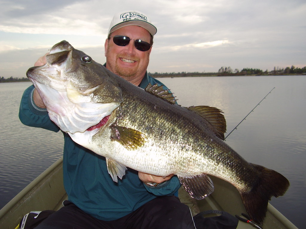 First-Time Fishing Tips: Bait, Rigs, and Three Ways to Fish