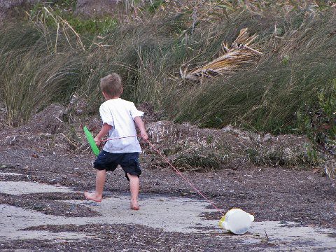 Fishing Bait: The Types That Catch Fish and How to Get It