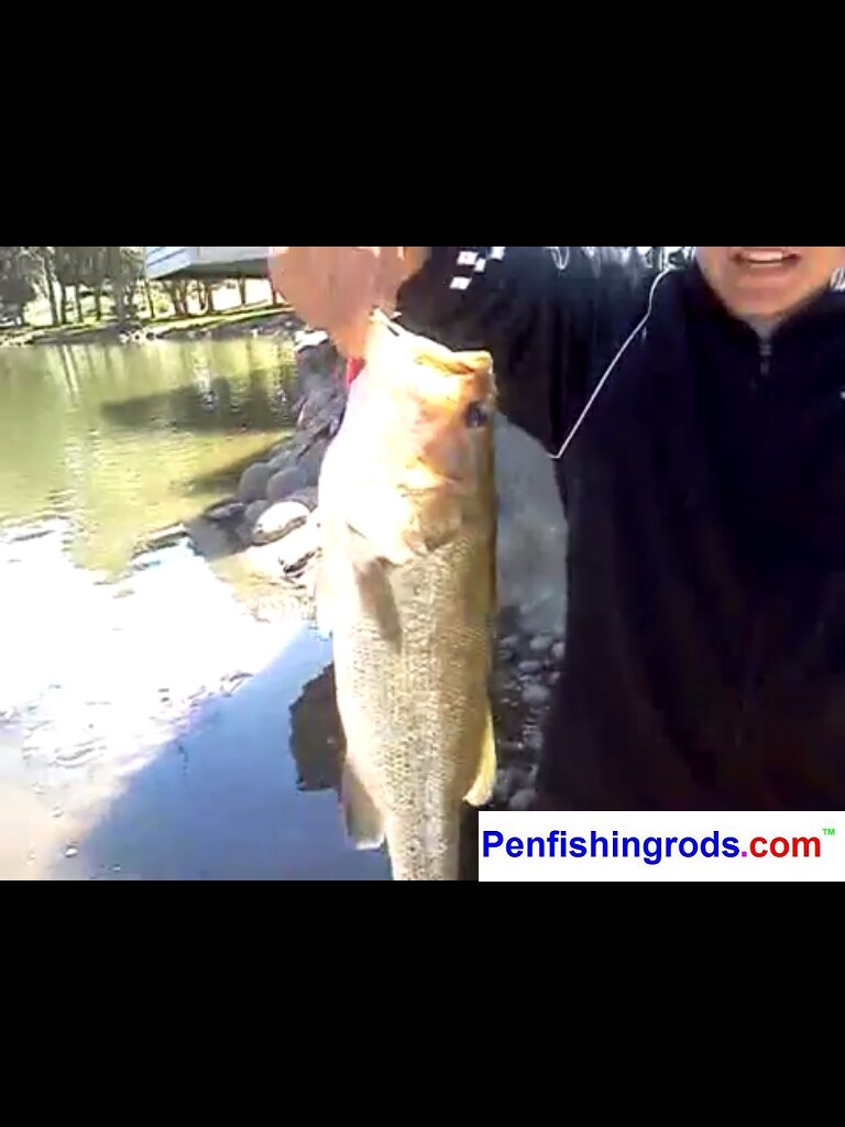 Fishing Licenses: What You Need to Know