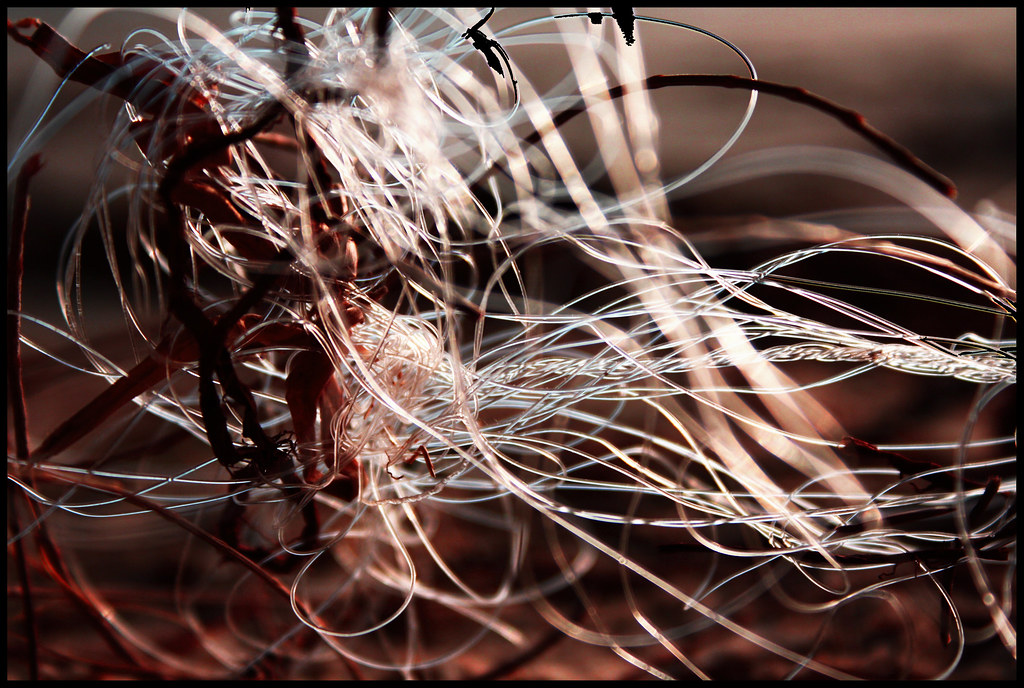 Fishing Line Types: Mono, Braid, Fused, and Fluorocarbon