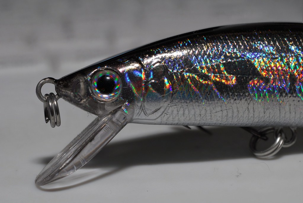 Fishing Lures Explained: Which Lure for Which Fish