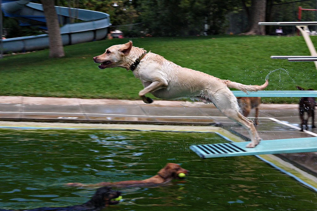 Getting Pool Water Chemistry Right Before You Close It