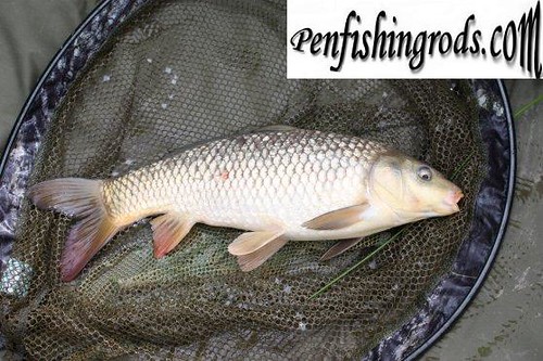 Hawaii Fishing Charter Tips: What to Pack and What to Expect