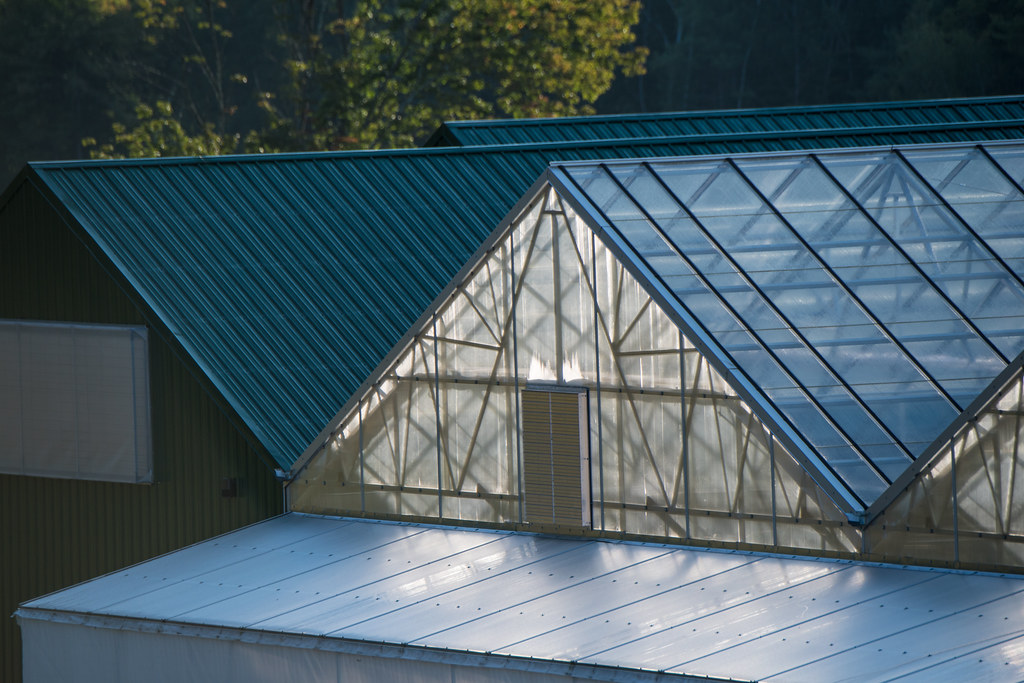 How to Buy a Greenhouse Without Overpaying or Regretting It