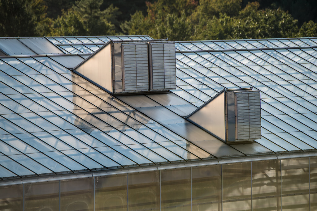 How to Buy a Greenhouse Without Overpaying or Regretting It