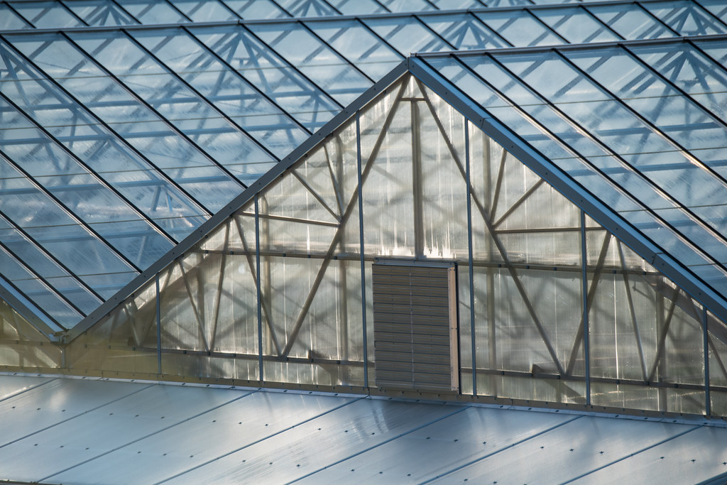 How to Buy a Greenhouse Without Overpaying or Regretting It