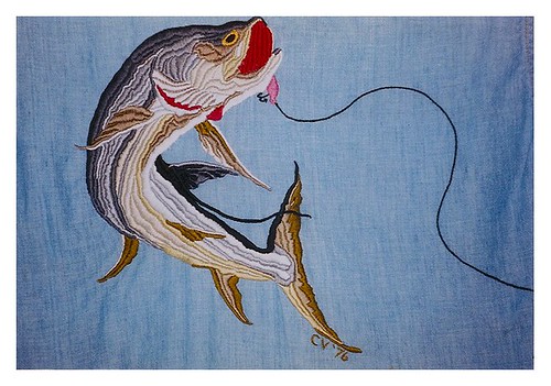 How to Choose the Right Fishing Line