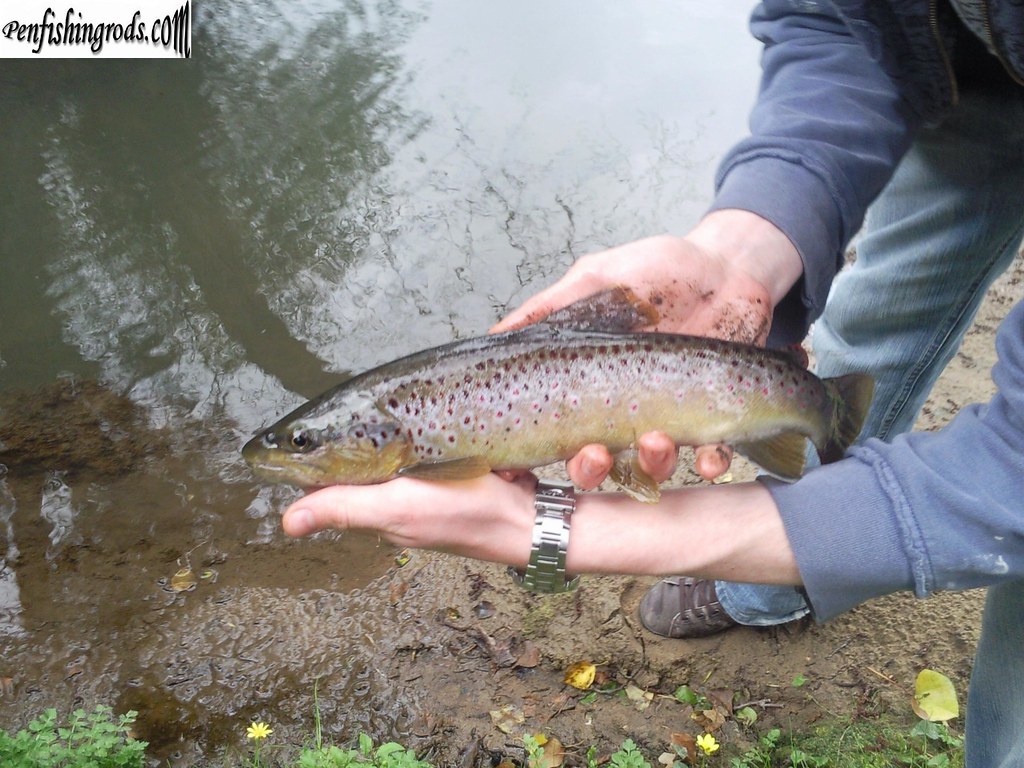 How to Choose the Right Fishing Rod (Without Overpaying)