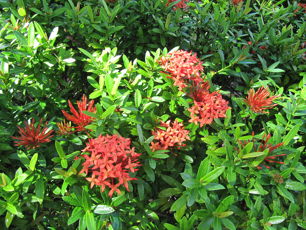 How to Pick Garden Tools That Fit Your Garden and Your Hands