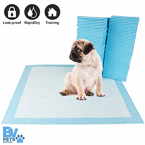 How to Potty Train Your Dog (House-Training Made Simple)