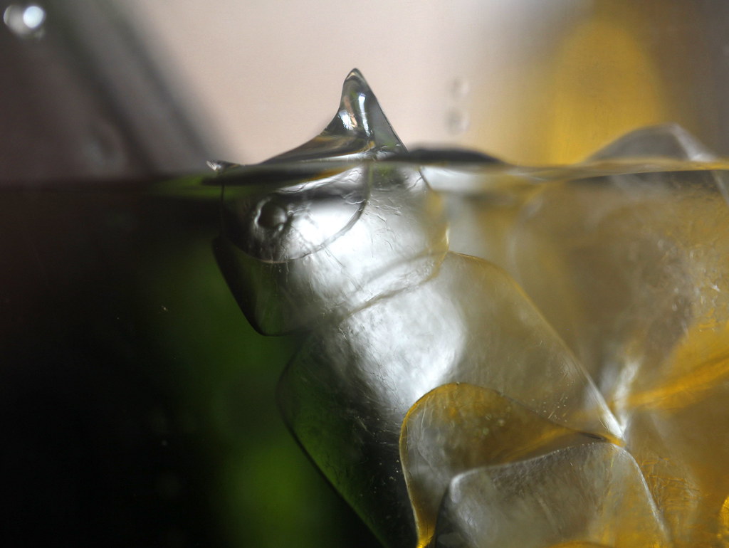 How to Prepare and Cook Your Fresh Catch