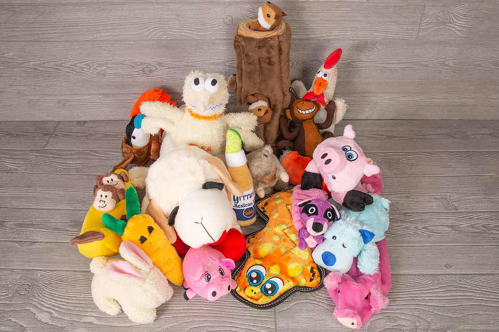 How to Stop Dog Boredom: Enrichment, Toys, and a Happier Dog