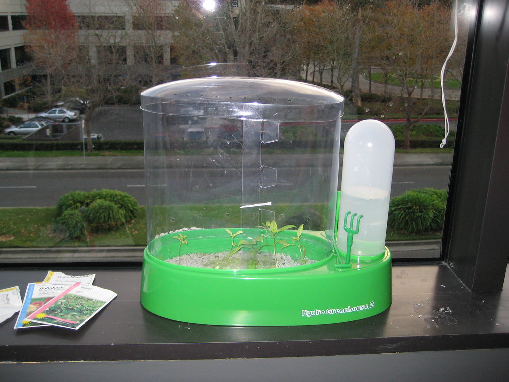 Hydroponics at Home: Growing a Real Garden Without Any Soil