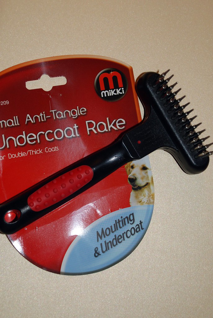 Hypoallergenic Hunting and Sporting Dog Breeds