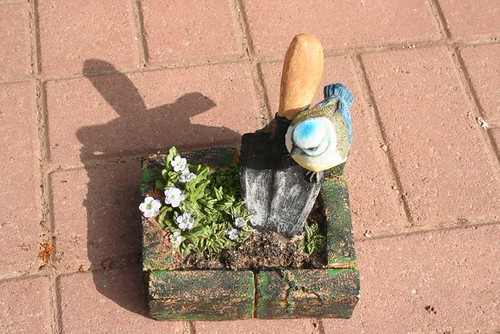 Keeping a Flower Garden Blooming All Season Without Babying It