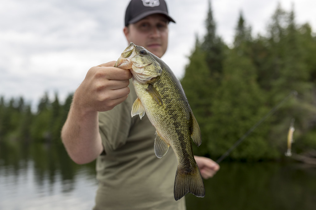 Lake Fishing Tips: Finding Fish and Casting Cleanly
