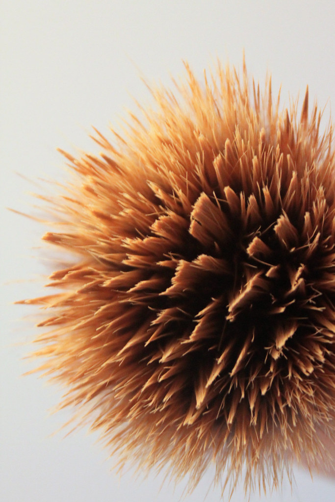 The Makeup Brushes That Actually Matter (Skip the Rest)