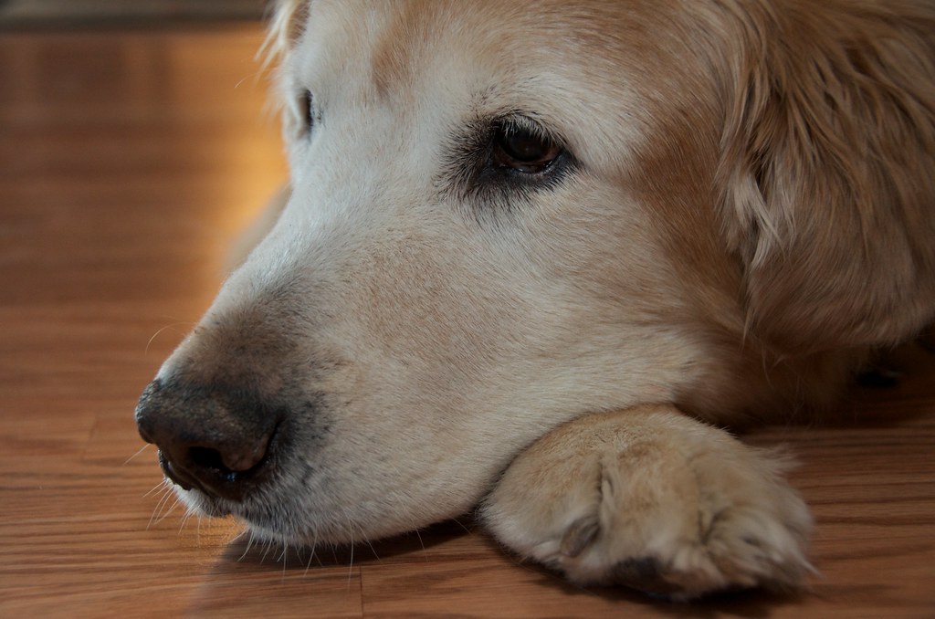 Making Peace With an Arthritis Diagnosis Without Burning Out
