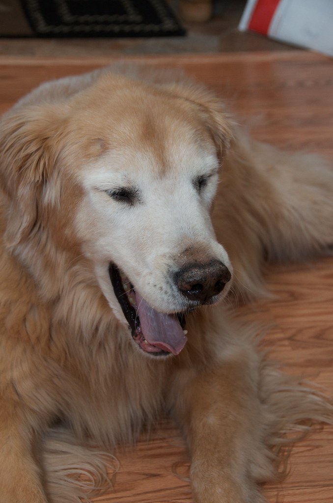 Making Peace With an Arthritis Diagnosis Without Burning Out