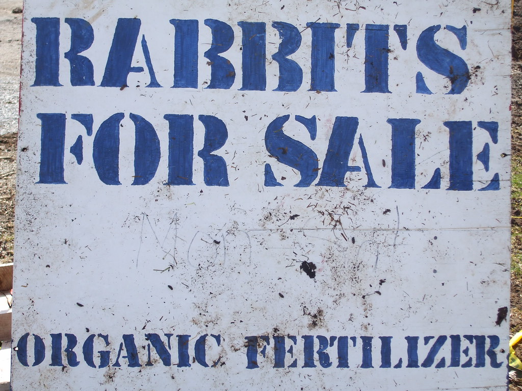 Organic Gardening for Beginners