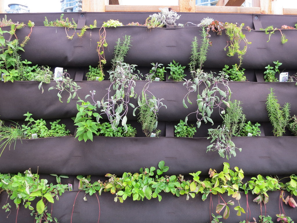Planning a Herb Garden Layout That Doesn't Fall Apart