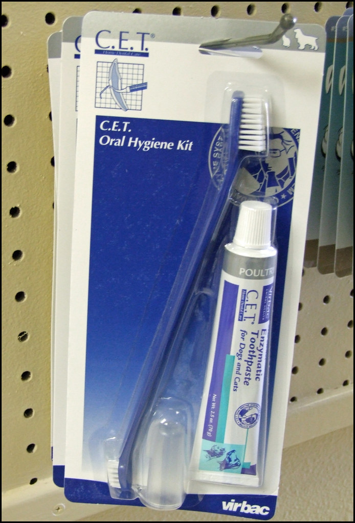 Preventing Dental Disease in Dogs