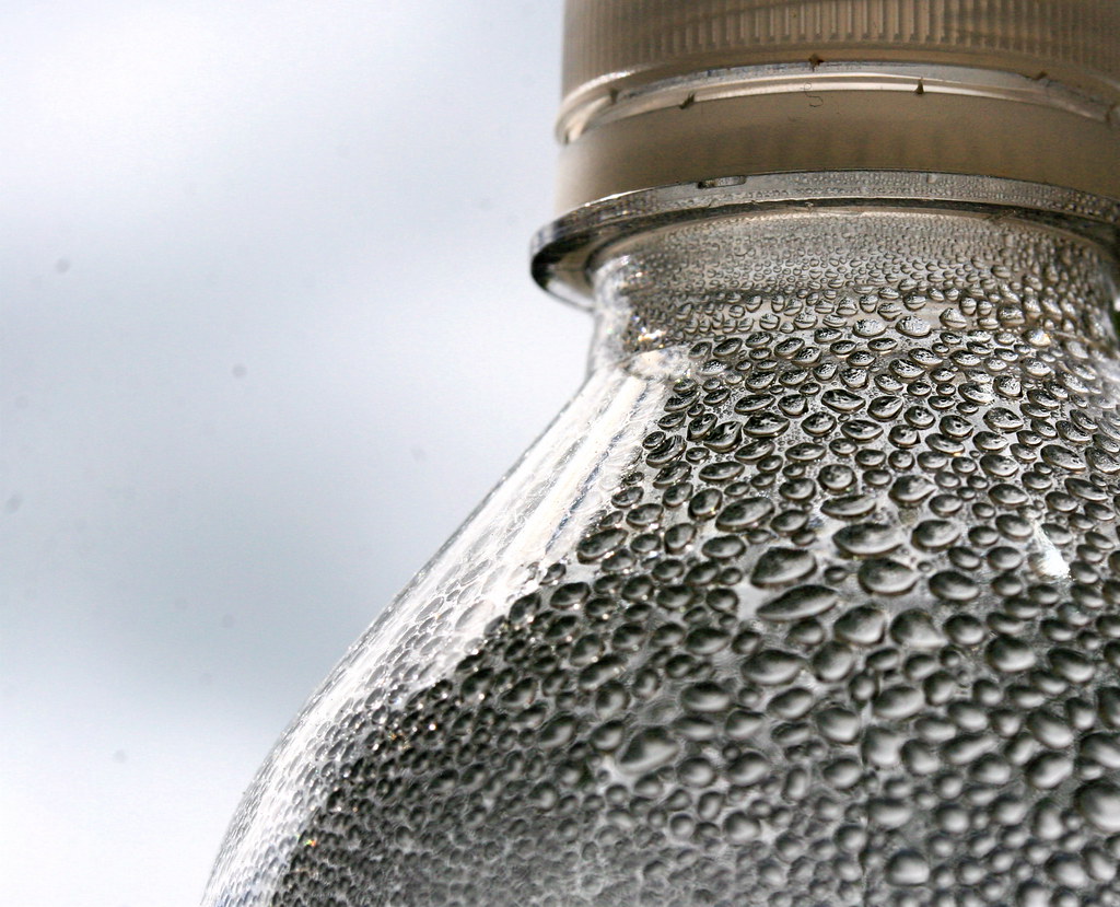 Quick Early Wins: The Water-First Tricks That Dropped Pounds