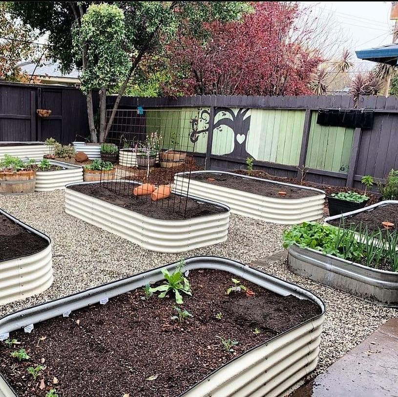 Starting a Raised-Bed Garden: An Honest First-Season Guide