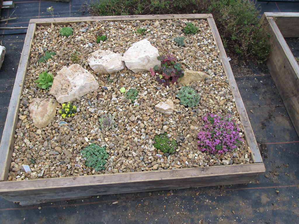 Starting a Raised-Bed Garden: An Honest First-Season Guide