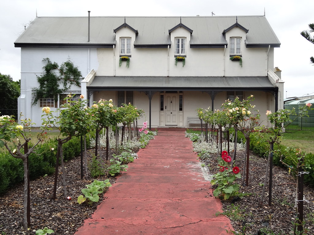 Rose Gardening for Beginners: The Honest Basics
