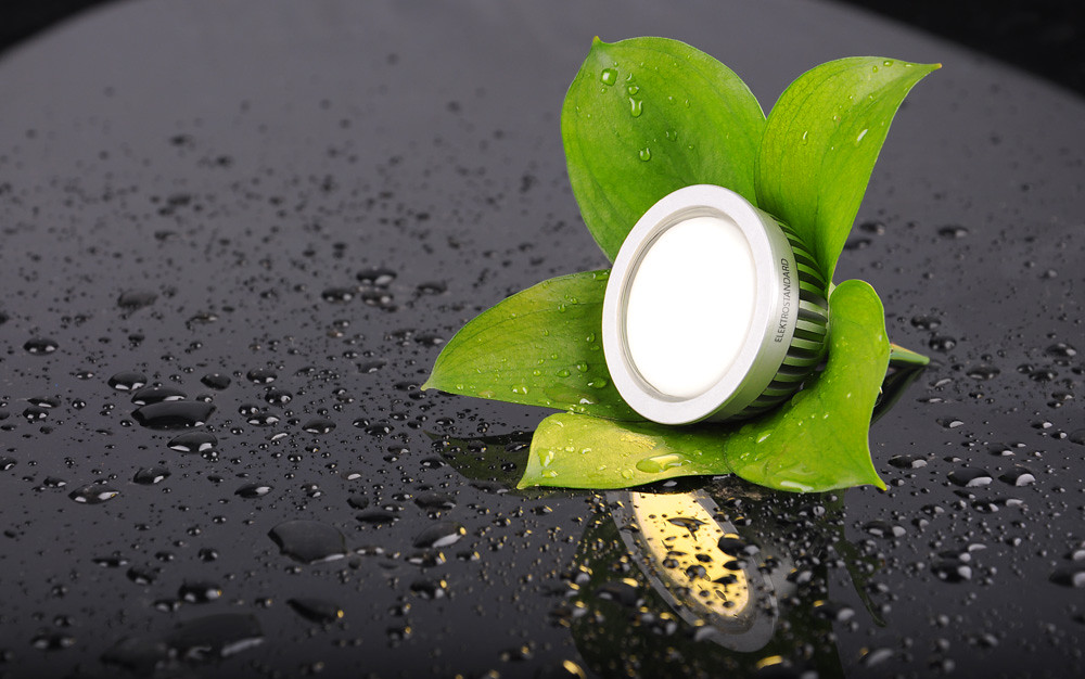 Simple Changes to Make Your Home Greener and Cut Your Bills