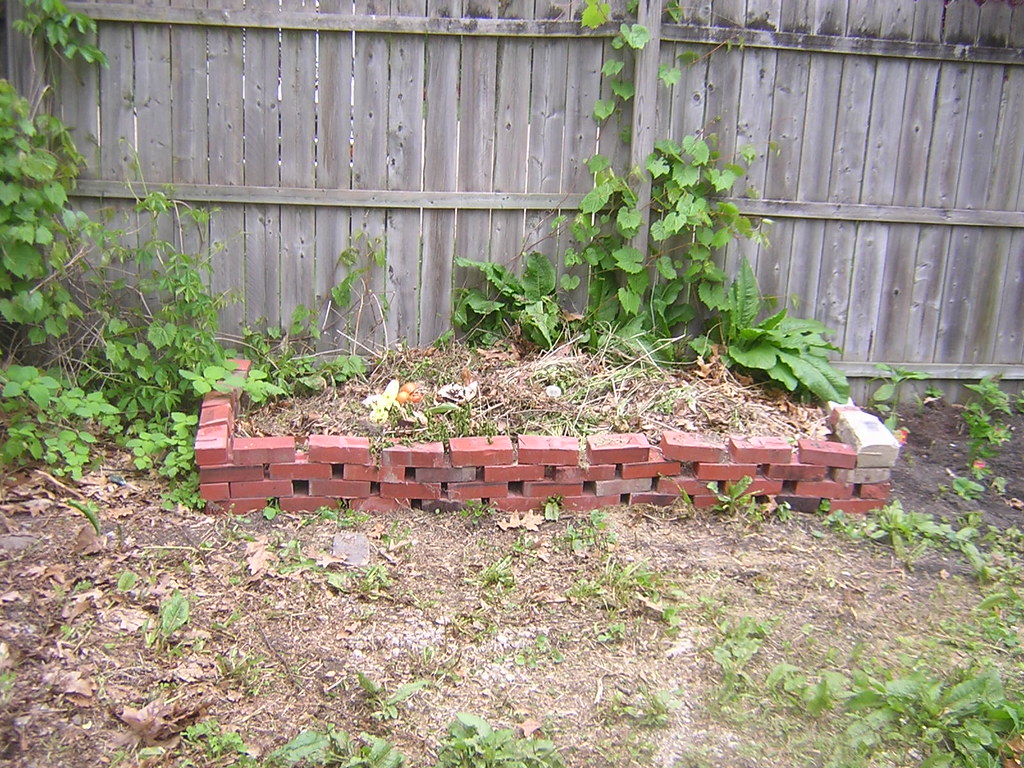 Starting a Compost Bin at Home: The Honest Beginner's Guide