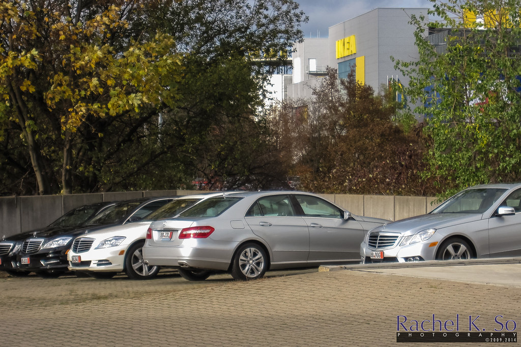 Starting a Sports Car Rental Business: What I Wish I Knew