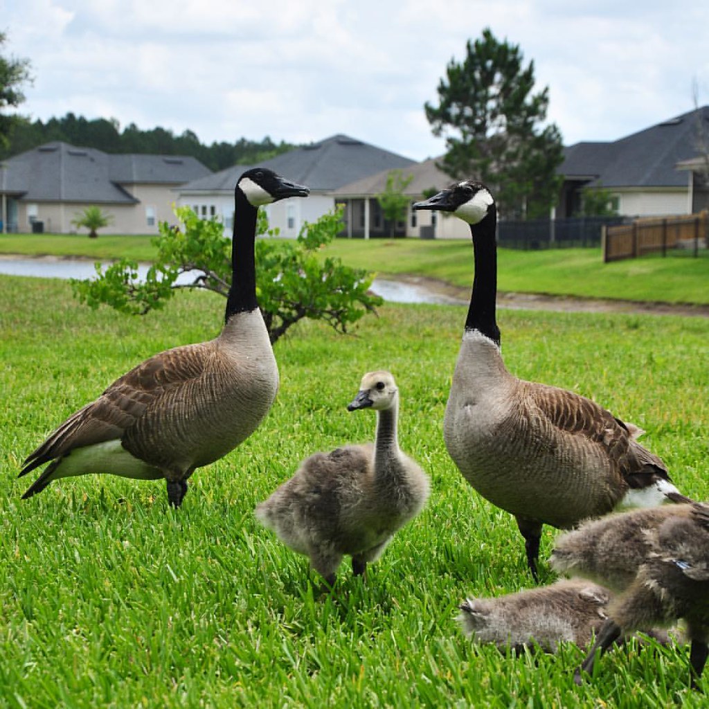 Staying Safe During DIY Home Improvement Projects: Real Tips