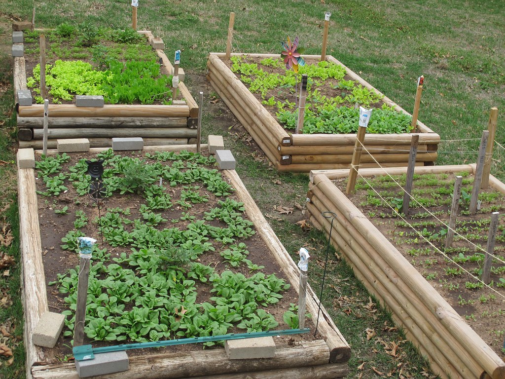 Switching to Organic Gardening: The Honest Tradeoffs