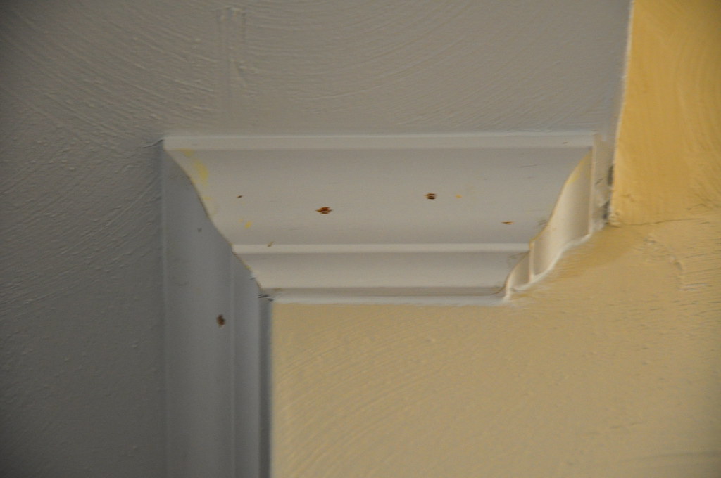 The Cheapest Way I Found to Transform a Room: Trim and Molding