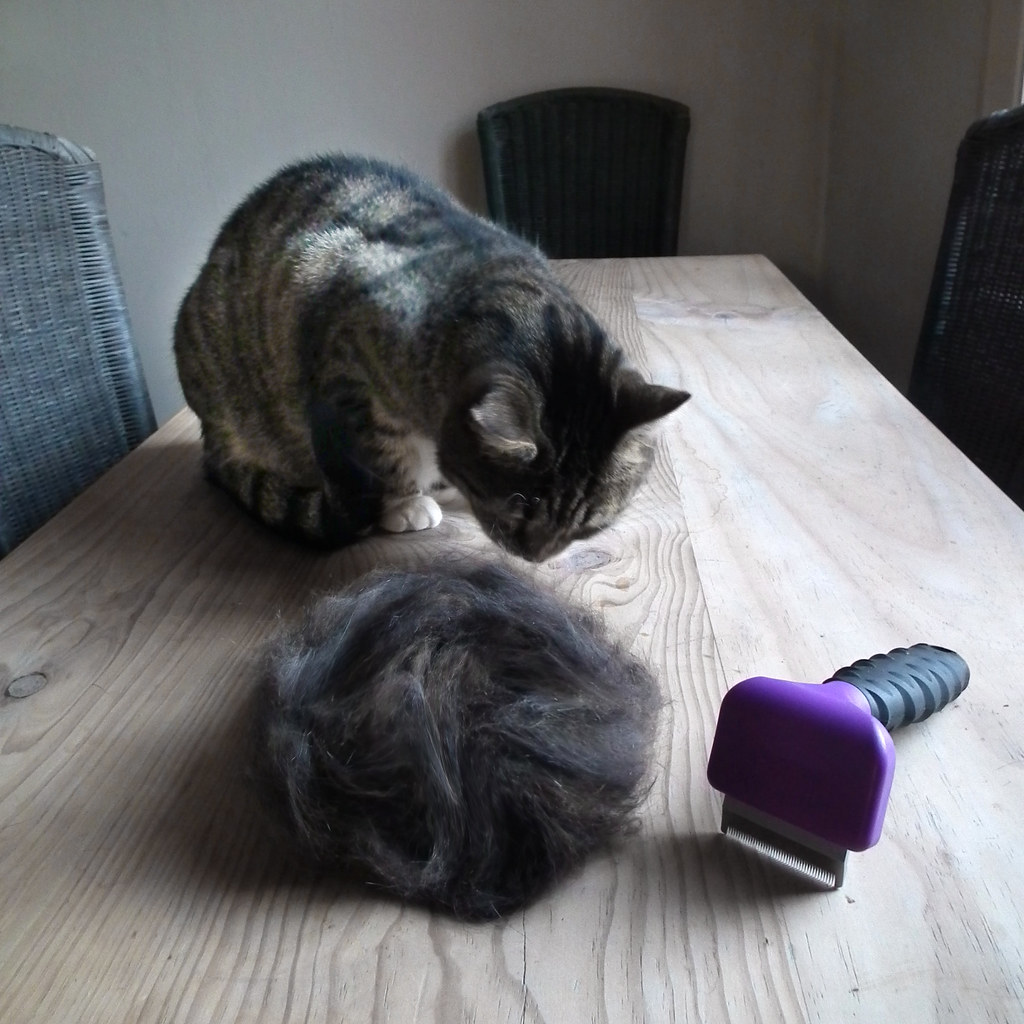 The Grooming Supply Kit I Keep By the Back Door