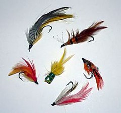 Trout Fishing Tips: Dry Flies and Clean Presentation