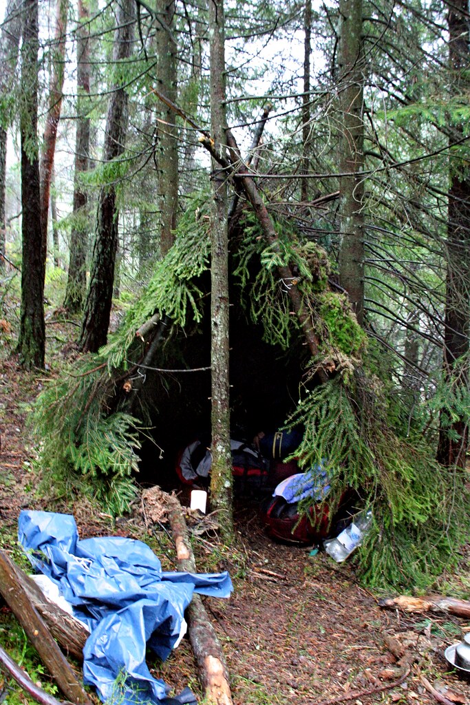 What's actually in my apartment go-bag — not what Reddit told me to pack