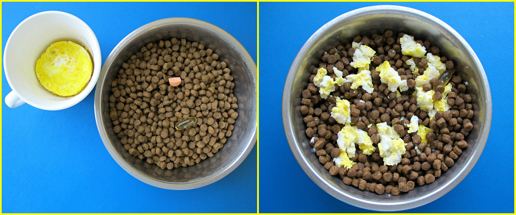 When Dog Food Supplements Are Actually Worth It (And When They Aren't)