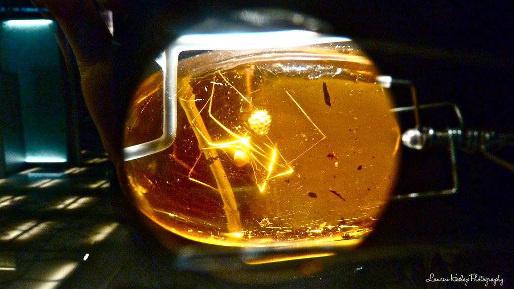 Where to Buy Coins: Shops, Auctions, and Mail Compared