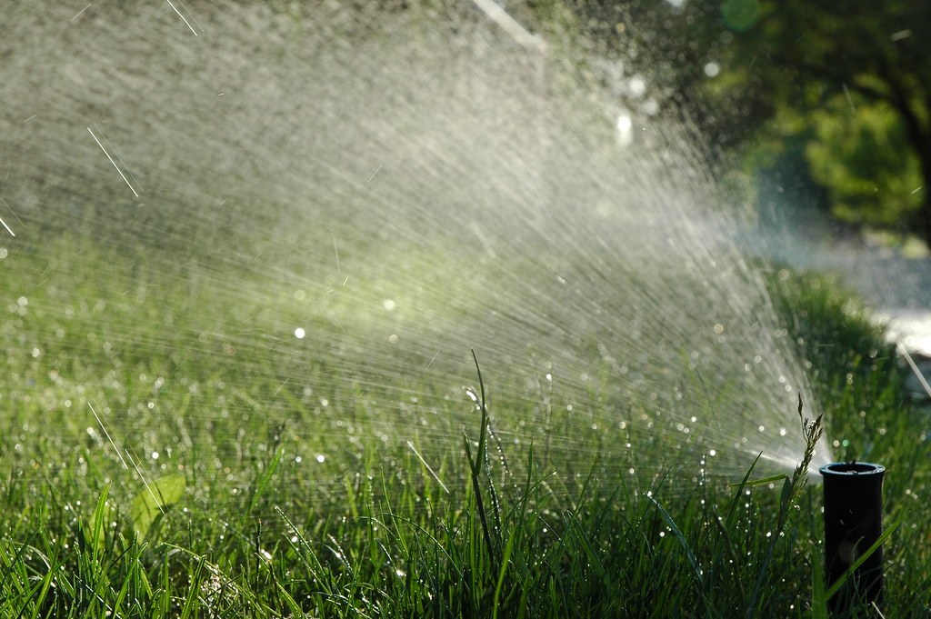 Why Fall Lawn Care Decides How Green Your Spring Looks