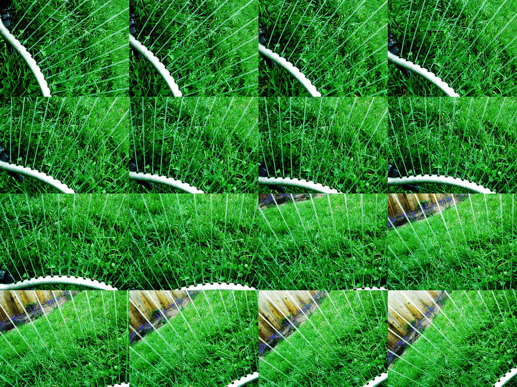 Why Fall Lawn Care Decides How Green Your Spring Looks