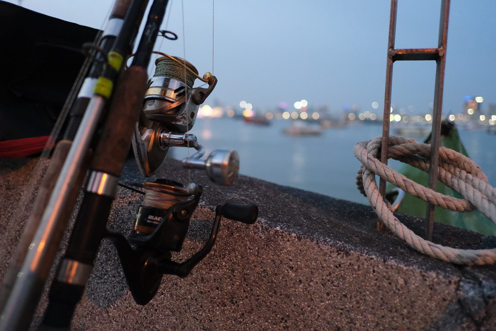 Why Fishing Is Fun: A Beginner's First Trip