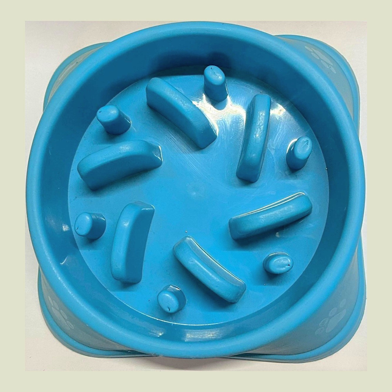Why Your Vet Is the Best Dog Diet Resource You Have