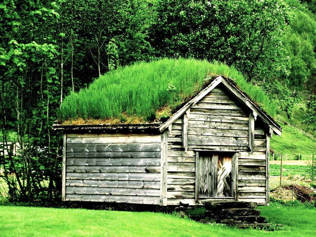 Winterizing a Lawn Mower: The Steps That Save a Spring Repair Bill